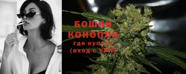 дживик Беломорск