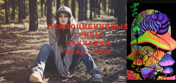 экстази Белокуриха