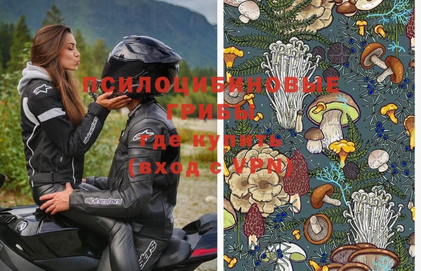 крисы Белоозёрский