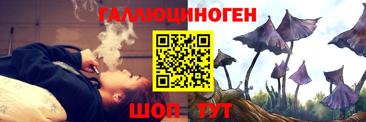 Корсаков  Псилоцибиновые грибы Cubensis  Вход с VPN 